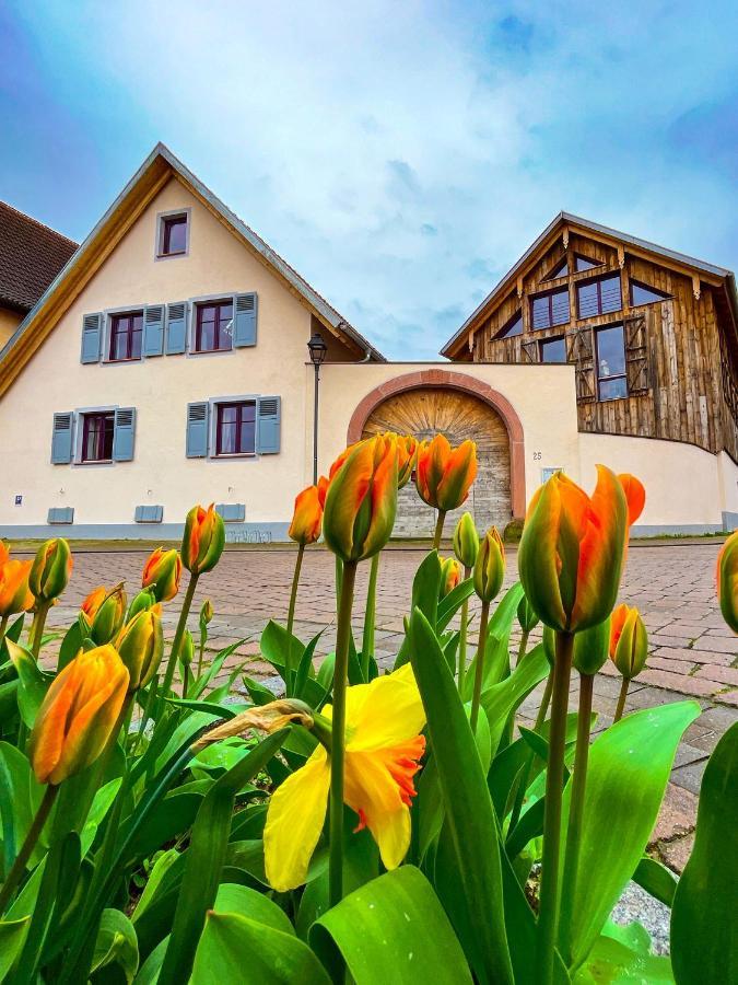Storchenhof Teningen Екстериор снимка